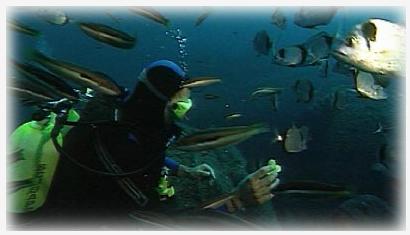 Naturschutzgebiet - auch unter Wasser