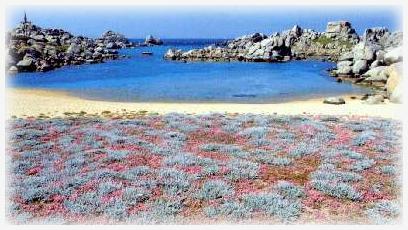 Links oben am Bildrand das Denkmal der Semillante - Blickrichtung S�d