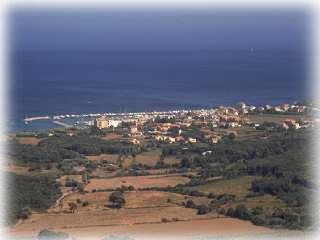 Der Hafen ist das wirtschaftliche Zentrum des St�dtchens.